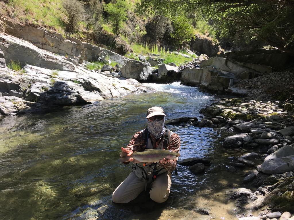 Glendeer Lodge Timaru Kültér fotó